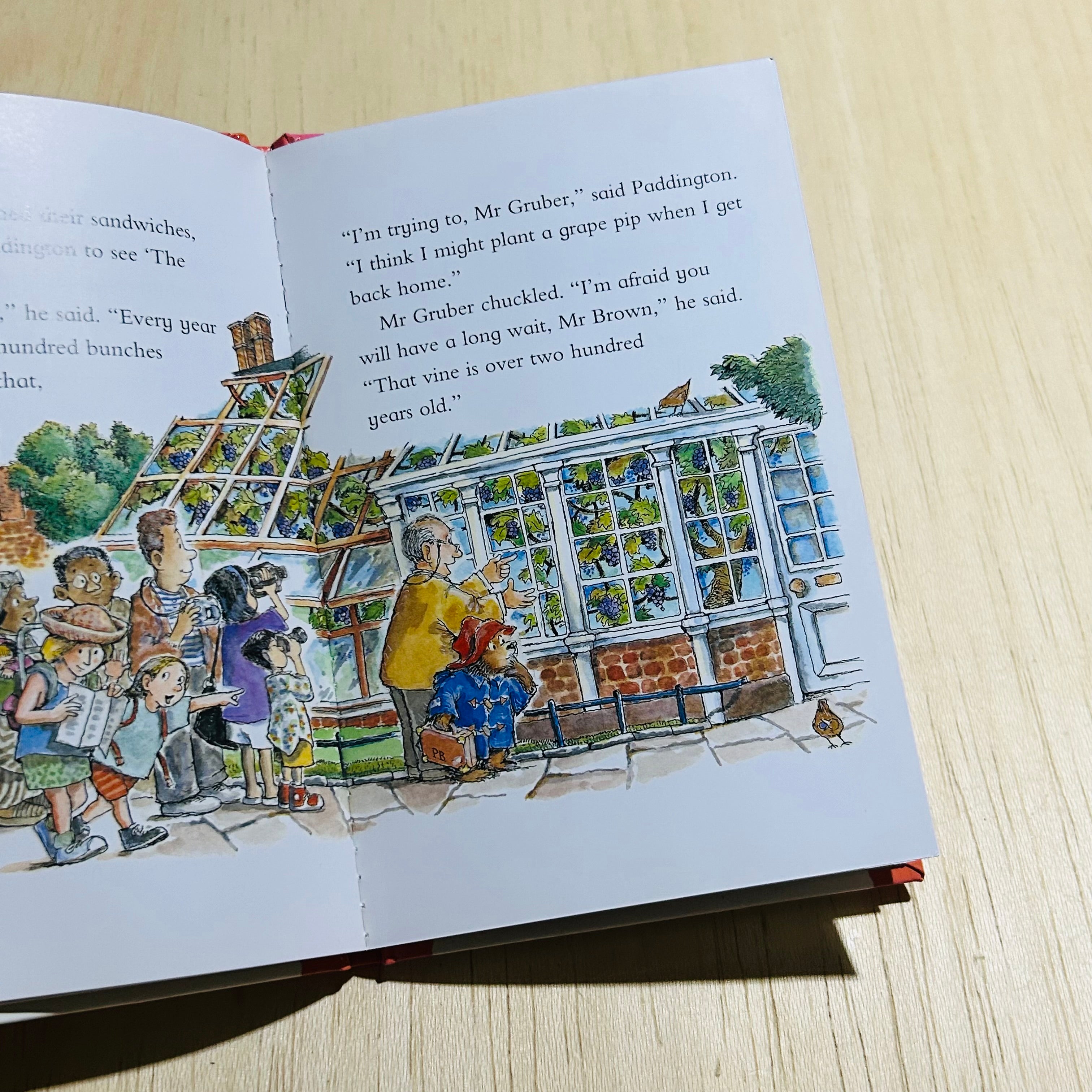 Paddington and the Marmalade Maze