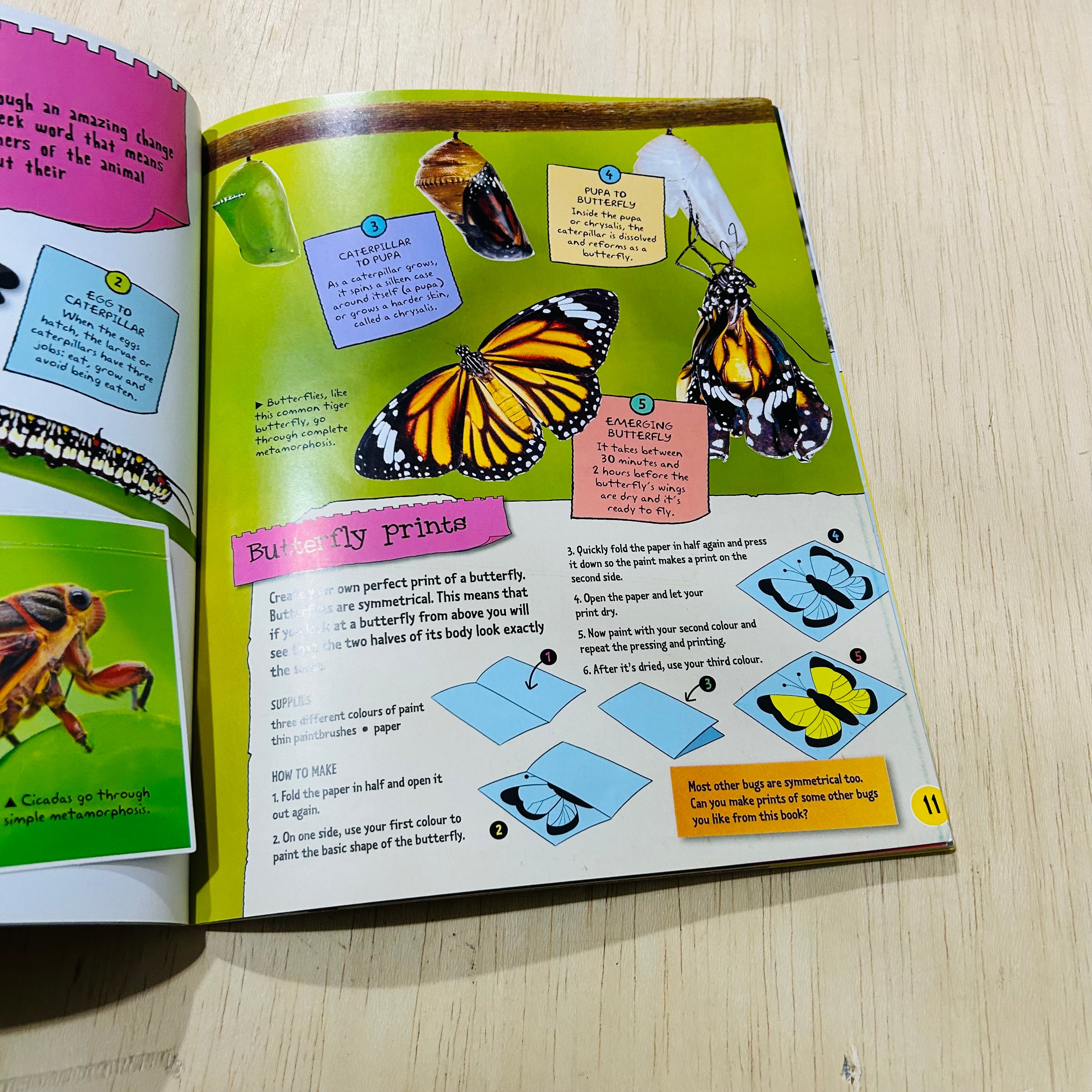 Project Bugs