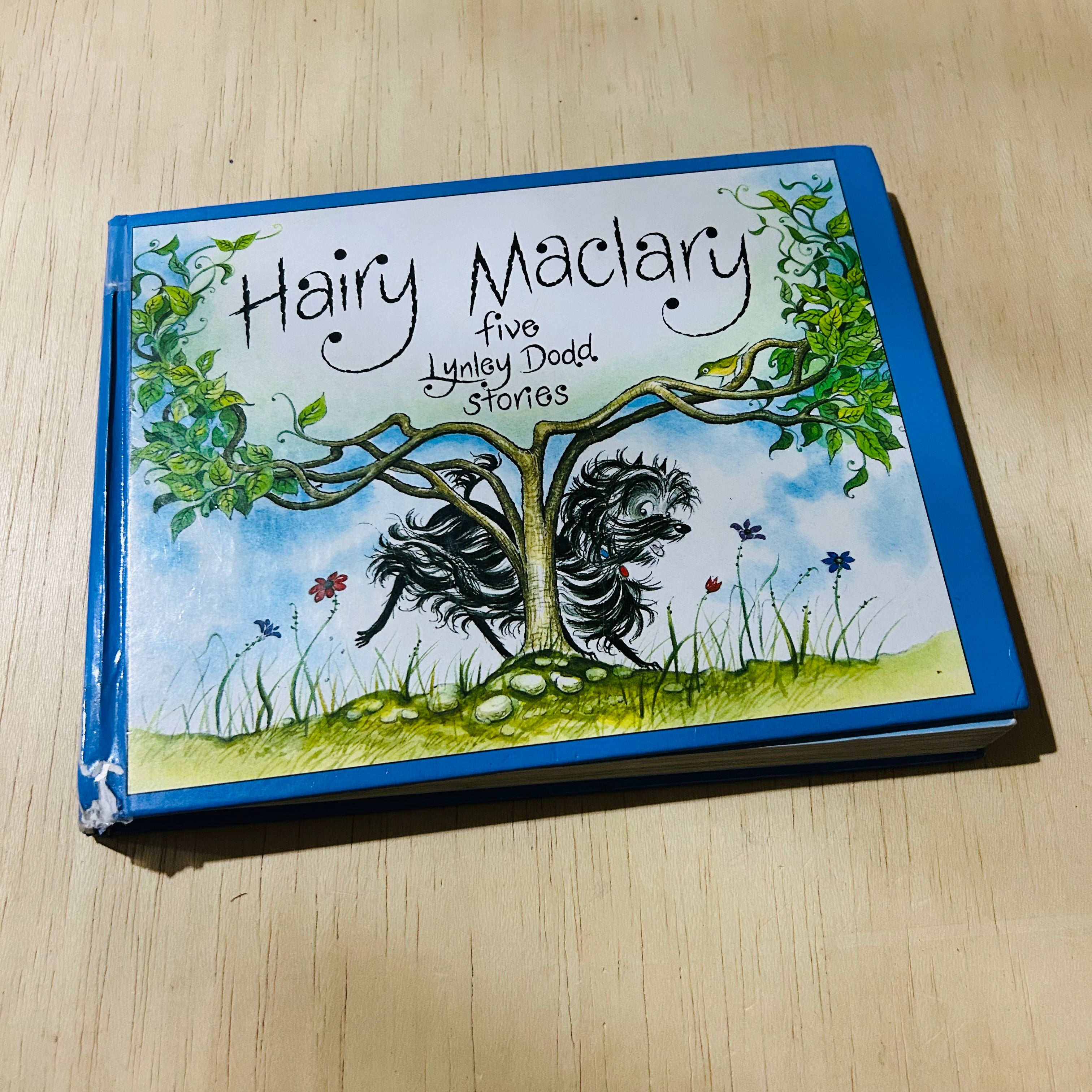 Hairy Maclary 5 Lynley Dodd Stories