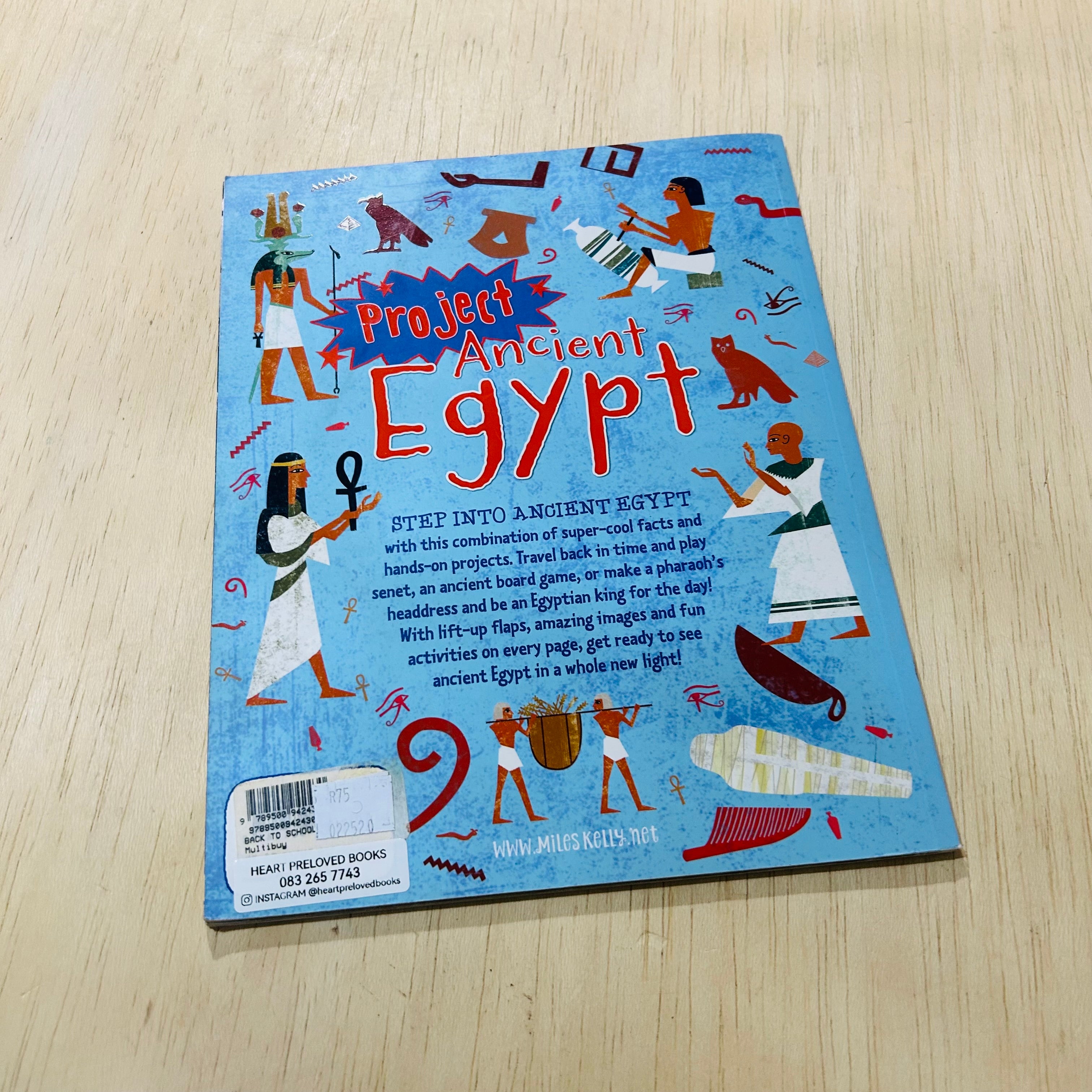 Project Ancient Egypt