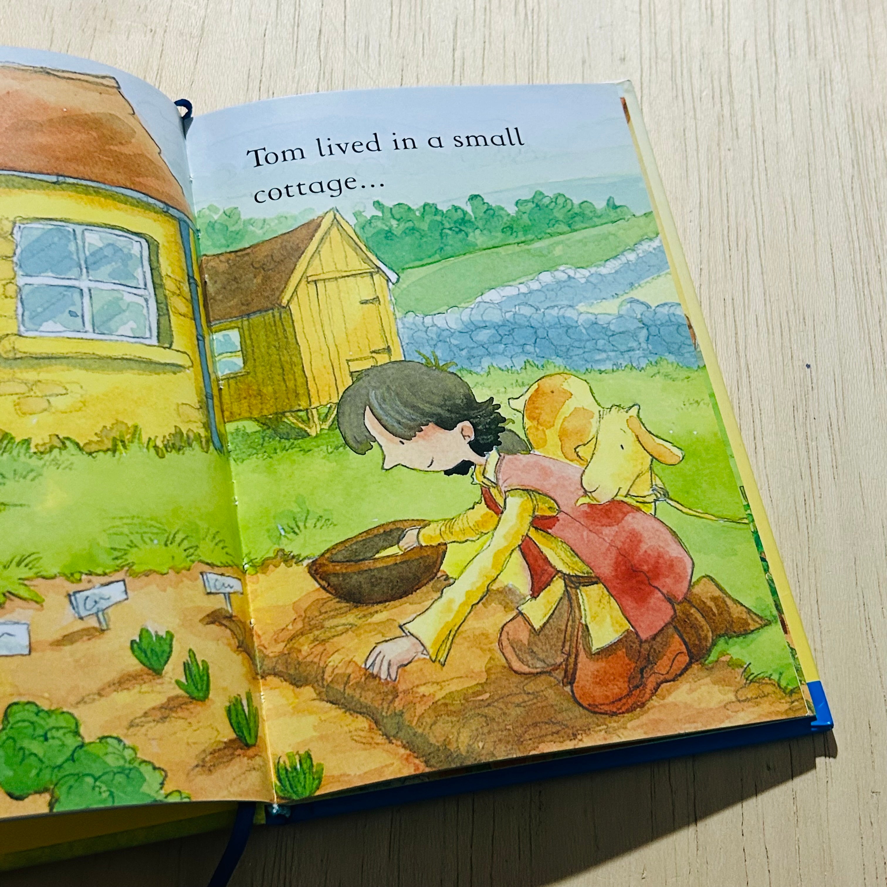 The Goose That Laid The Golden Eggs - Hardcover
