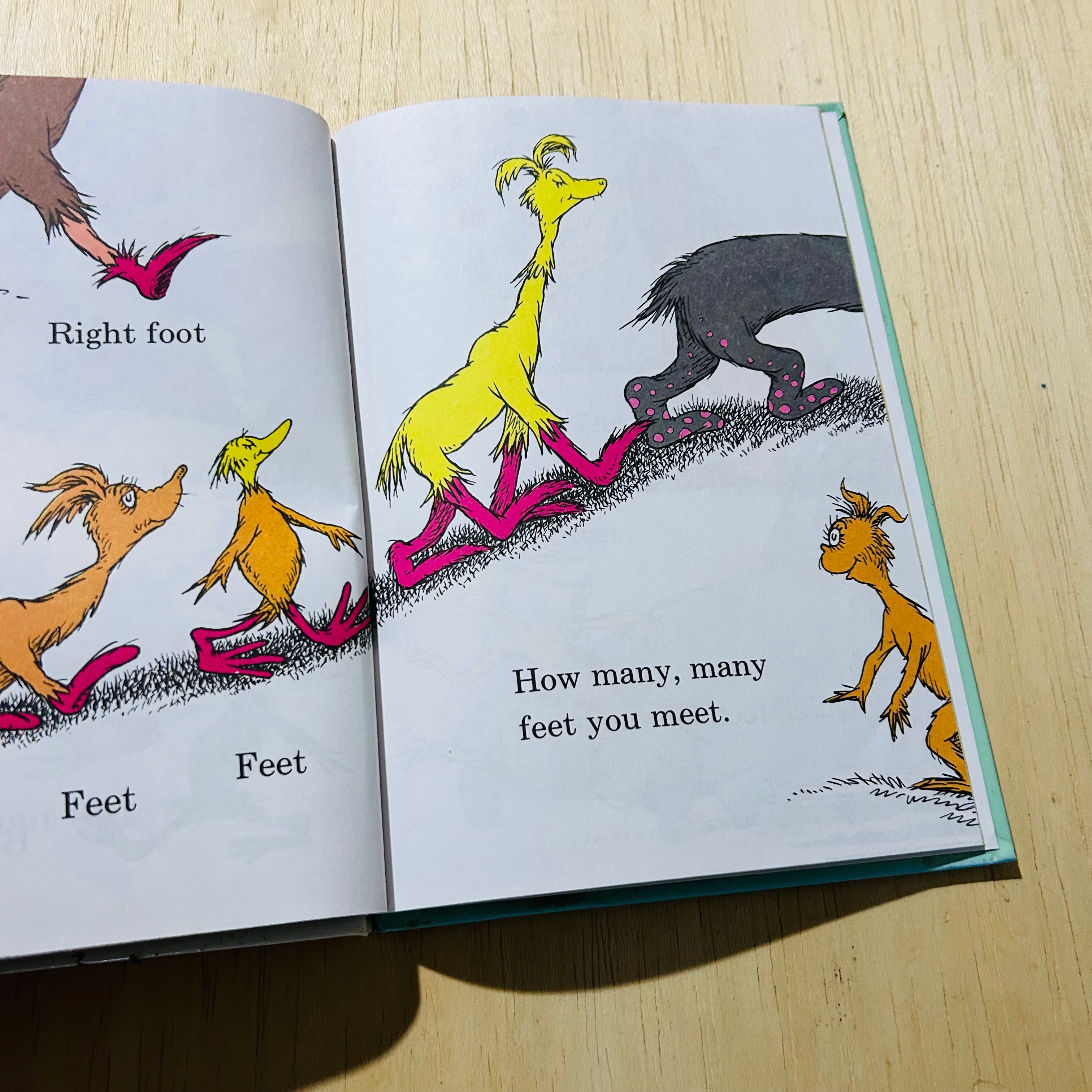 The Foot Book