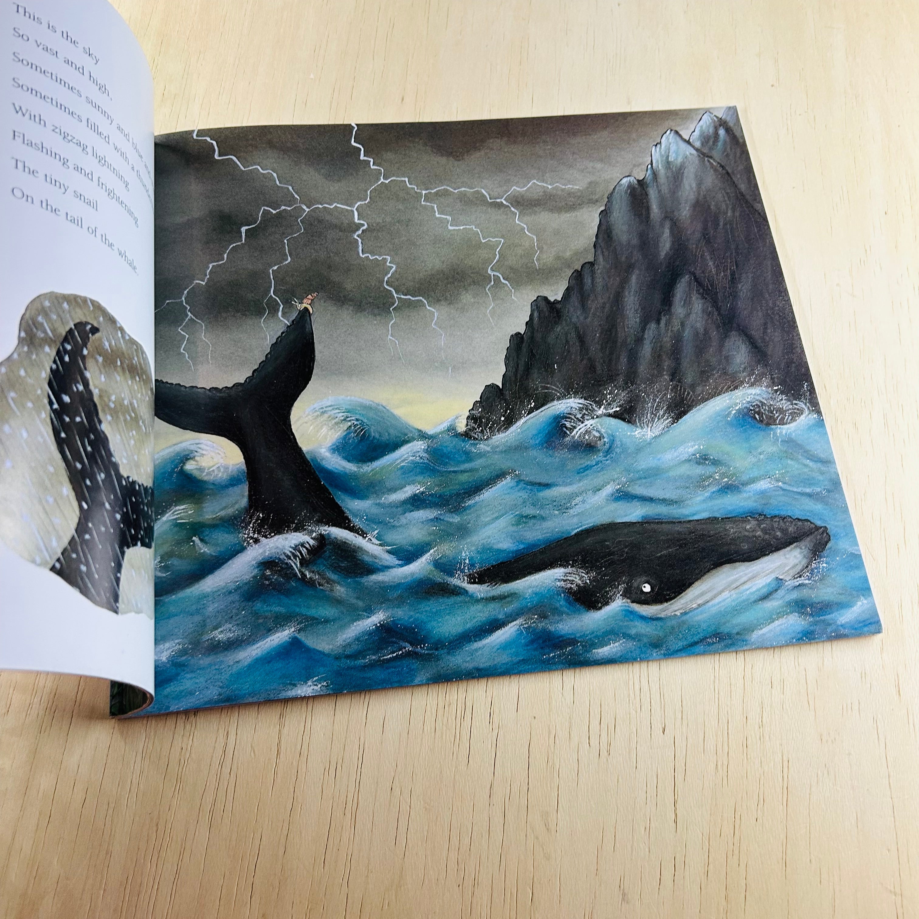 The Snail and the Whale