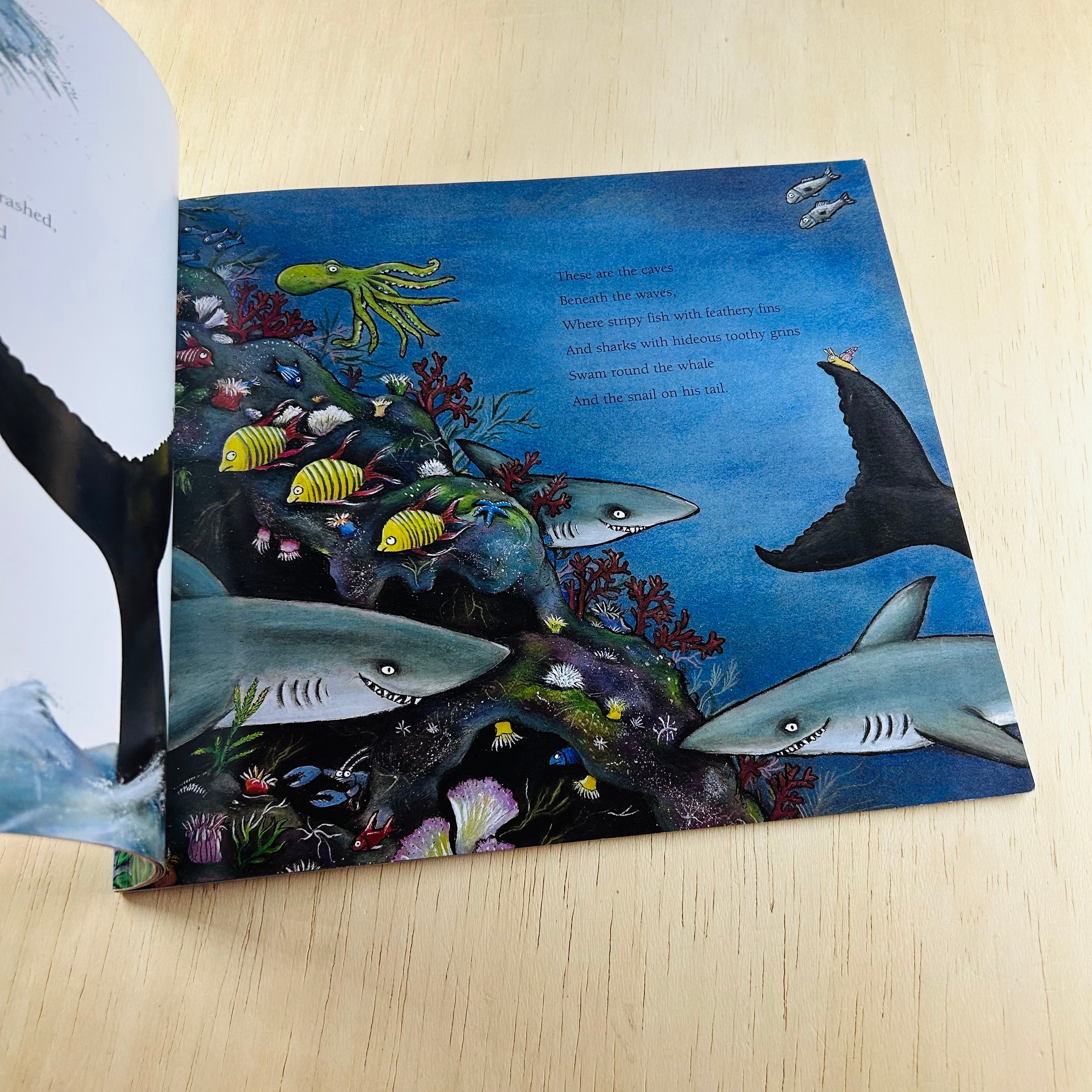 The Snail and the Whale