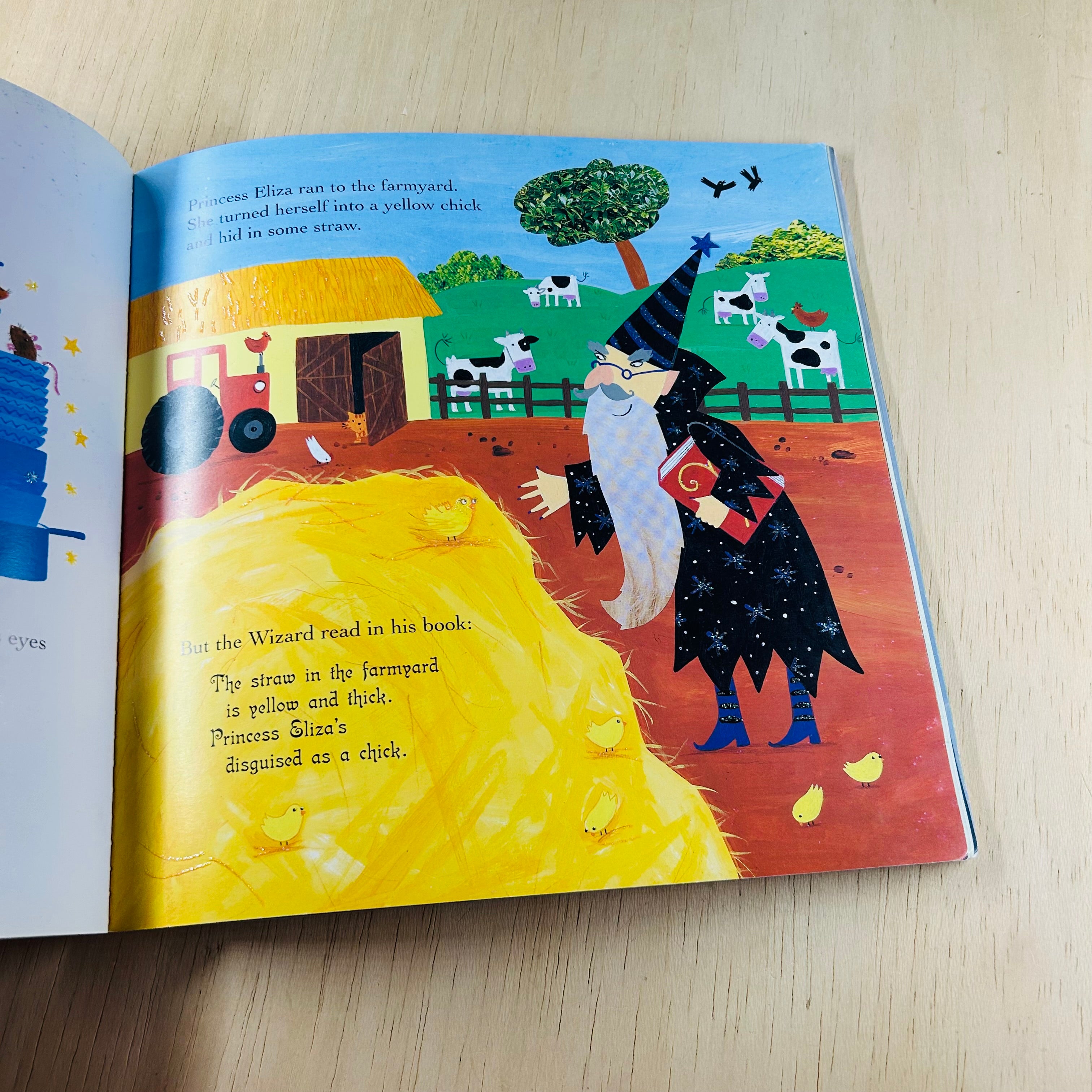 The Princess and the Wizard