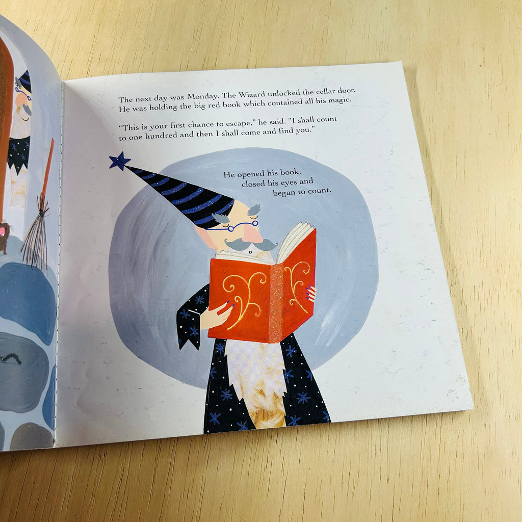 The Princess and the Wizard