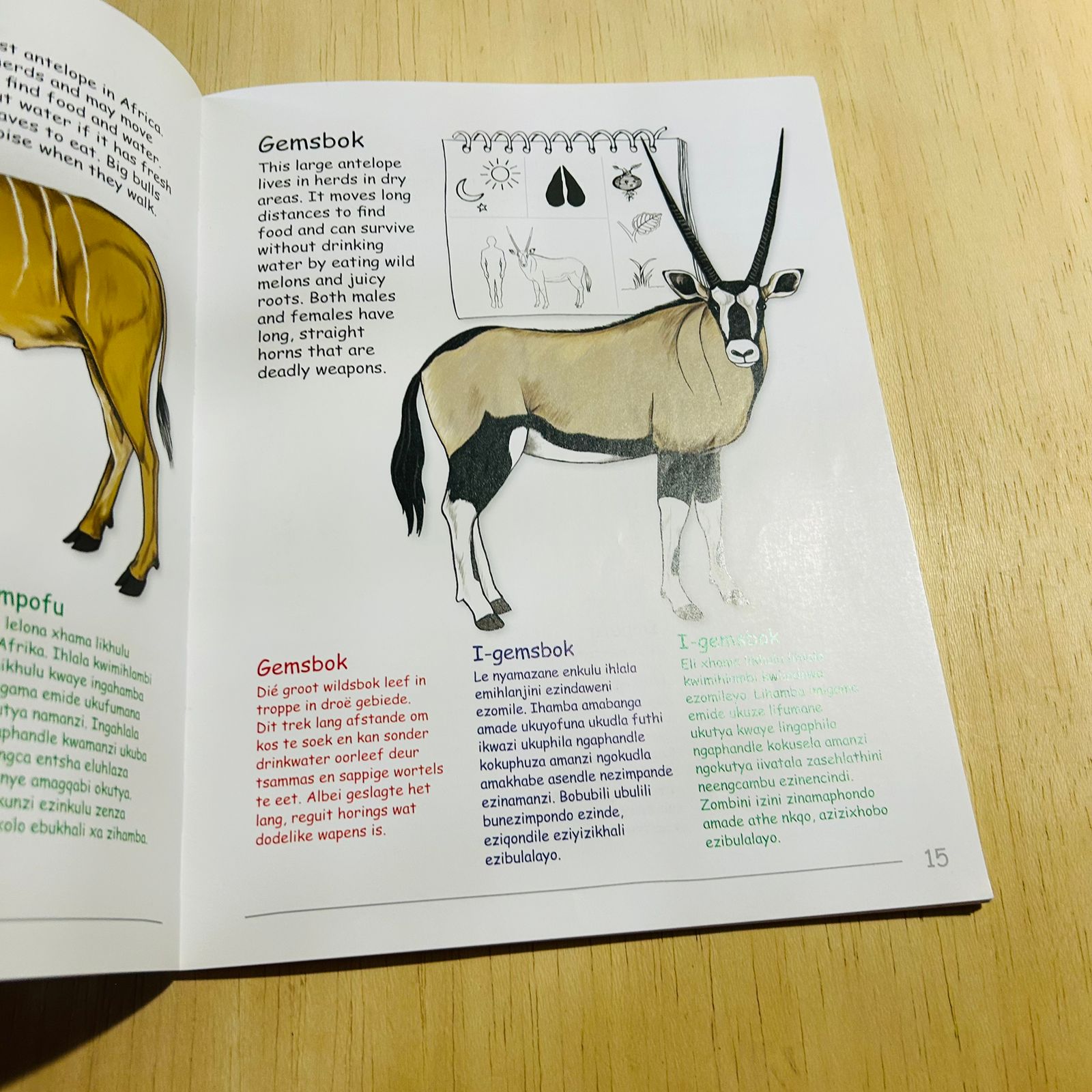 My First Southern African Book of Mammals