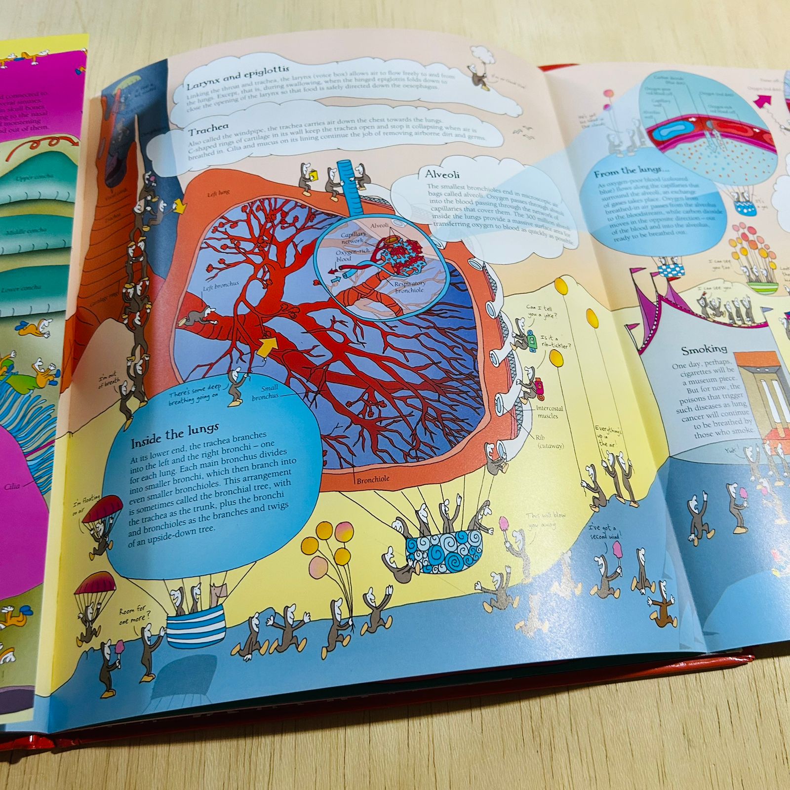 How the Incredible Human Body Works